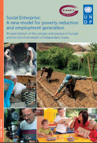 Social Enterprise: A New Model for Poverty Reduction and Employment Generation