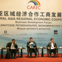 CAREC Business Development Forum (July 2010)