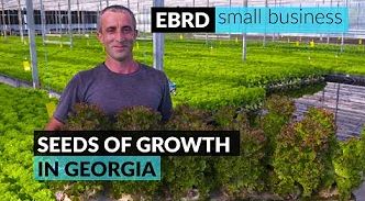 Bringing fresh vegetables and consumers closer together in Georgia