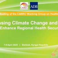 6th Meeting of the CAREC Working Group on Health