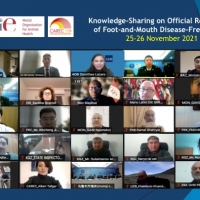 CAREC Knowledge-Sharing on Official Recognition of Foot and Mouth Disease-Free Status