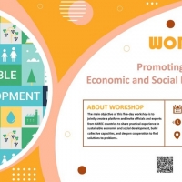 Workshop on Promoting Sustainable Economic and Social Development