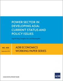 Power Sector in Developing Asia: Current Status and Policy Issues
