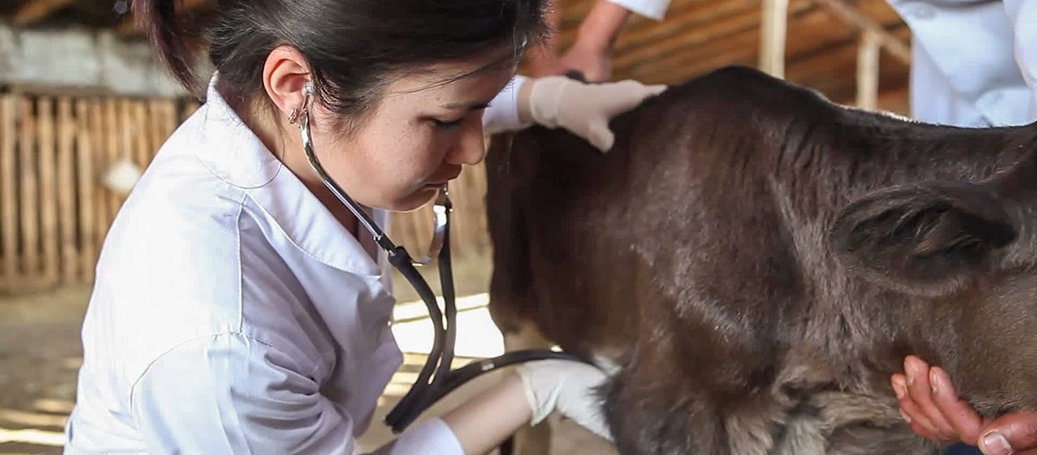 One region, one health: Preparing Central Asia for future pandemics
